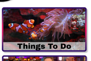 Things To Do