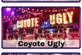 Coyote Ugly