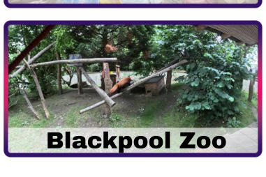 Blackpool Zoo