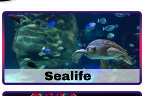 Sealife
