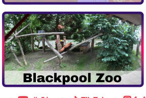 Blackpool Zoo