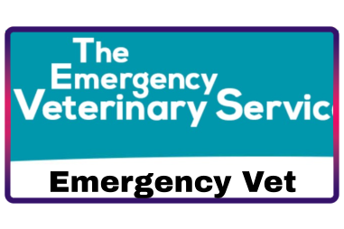 Emergency Vet