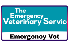 Emergency Vet